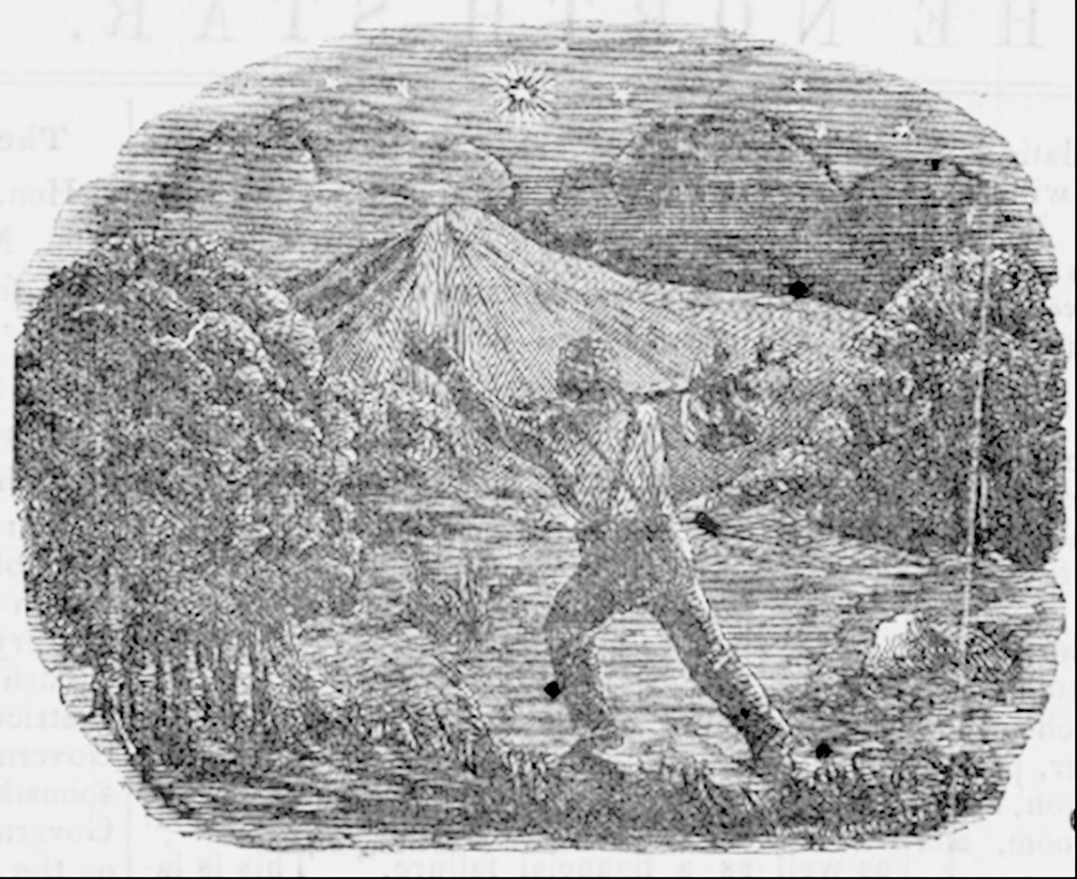 Sketch of a person in a forested area moving towards a mountain with their arms elevated.