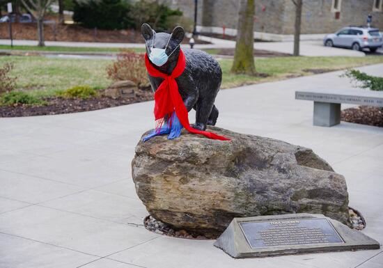 An image of the Touchdown statue on Cornell's campus. The beat is wearing a white surgical mask and a red scarf