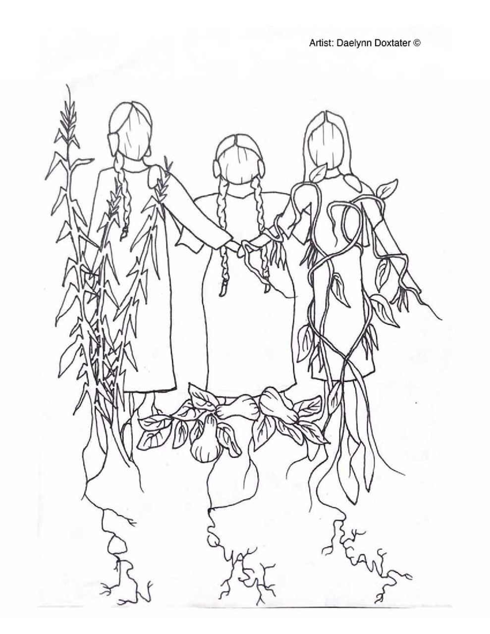 Coloring sheet for three sisters of indigenous america